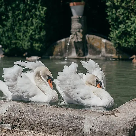 Alojamento de Acomodação e Pequeno-almoço Casa Dos Pombais
