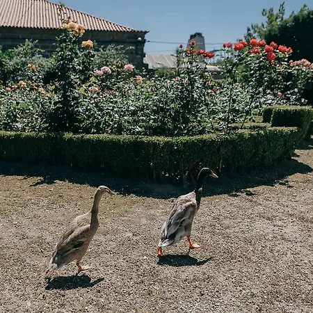 Alojamento de Acomodação e Pequeno-almoço Casa Dos Pombais 3*