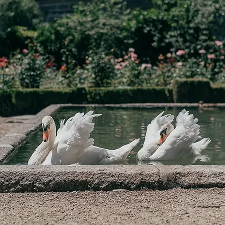 Casa Dos Pombais 3* Guimarães