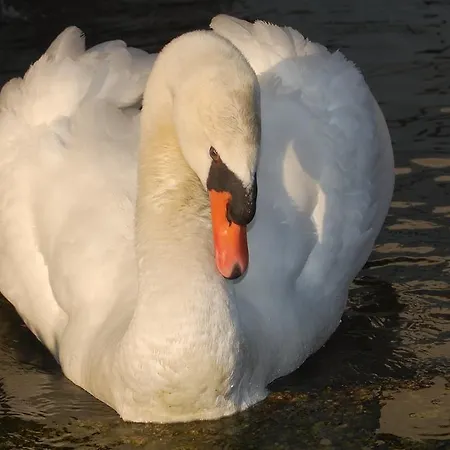 Casa Dos Pombais Alojamento de Acomodação e Pequeno-almoço