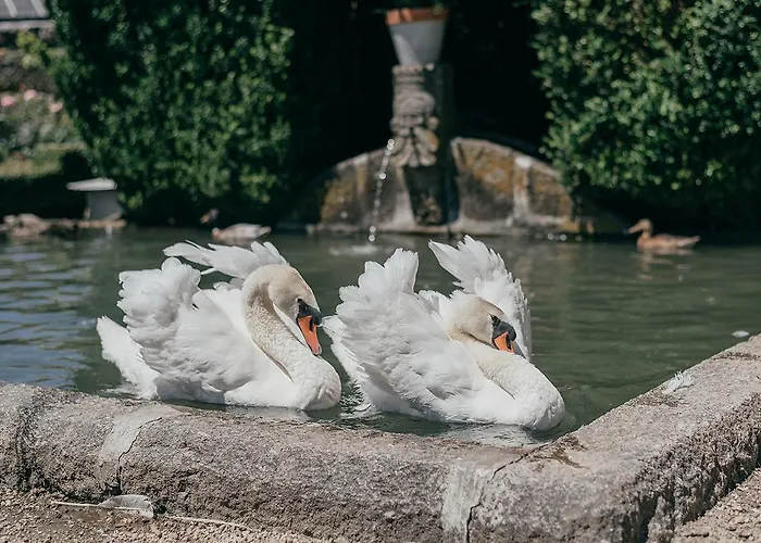 ベッド・アンド・ブレックファスト Casa Dos Pombais