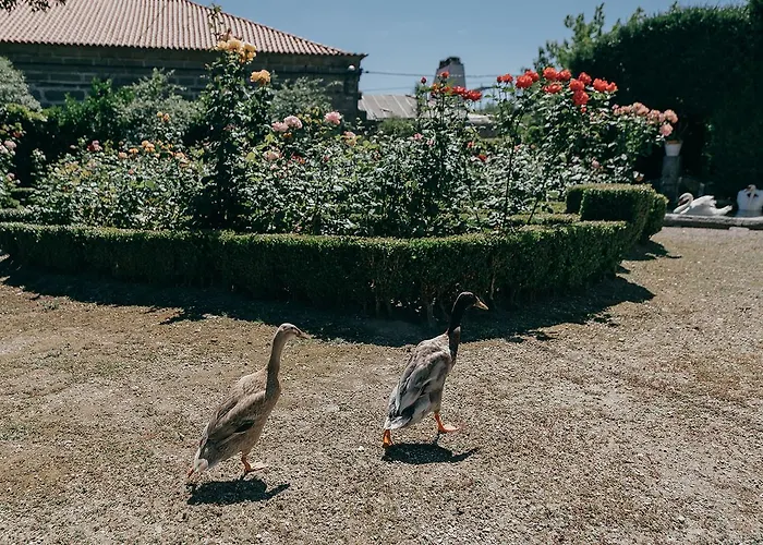 ベッド・アンド・ブレックファスト Casa Dos Pombais 3*