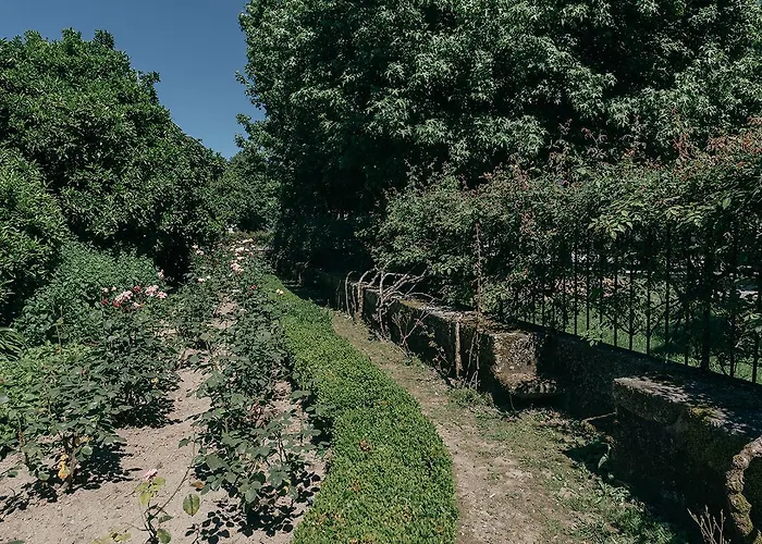 Casa Dos Pombais Bed and breakfast