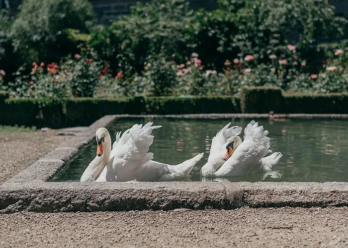 Casa Dos Pombais 3* גימראייש