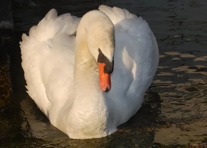 Casa Dos Pombais לינה וארוחת בוקר